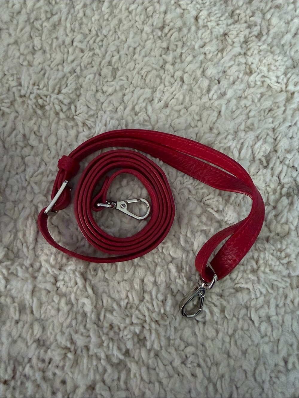 Saphan Stanley Crossbody in the rare color lipstick - Picture 9 of 9